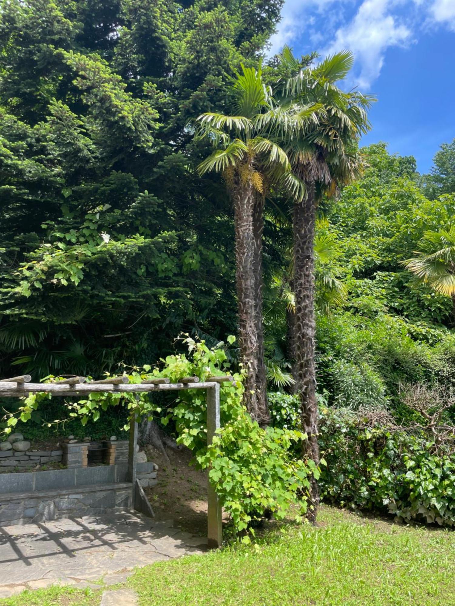 Appartement Novotna Ponte Tresa Exterior foto